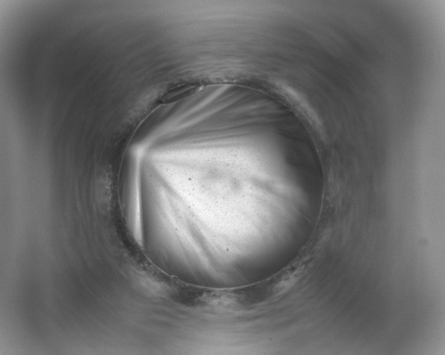 X0000066100113200603241528