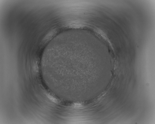 X0000066100114200603241528