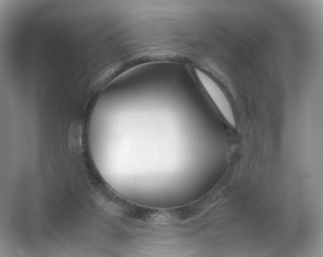 X0000066100115200603241528