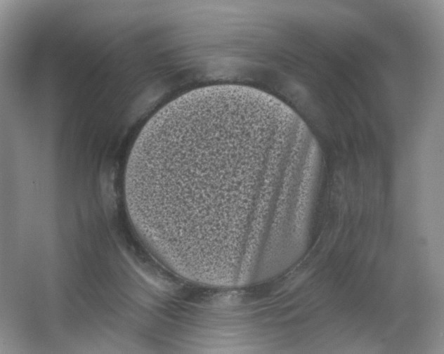 X0000066100116200603241528