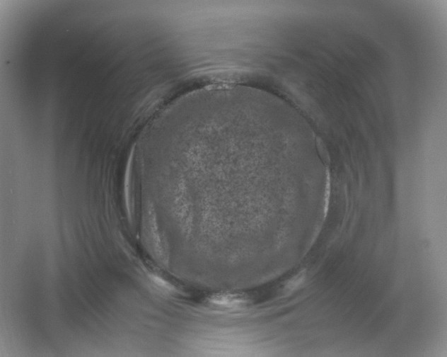 X0000066100117200603241528