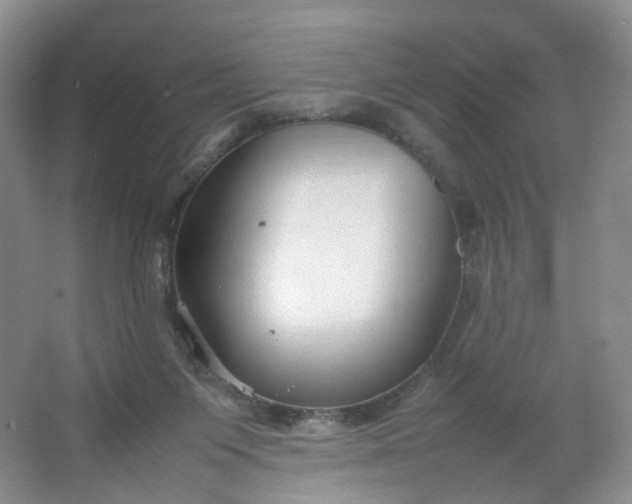 X0000066100119200603241528