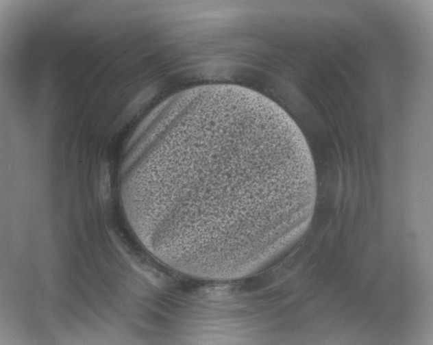 X0000066100120200603241528