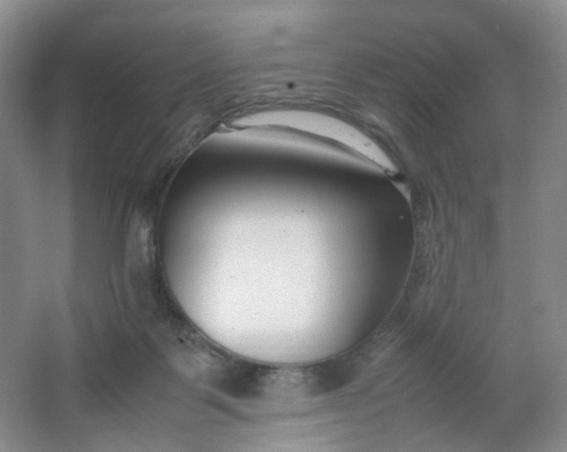 X0000066100123200603241528