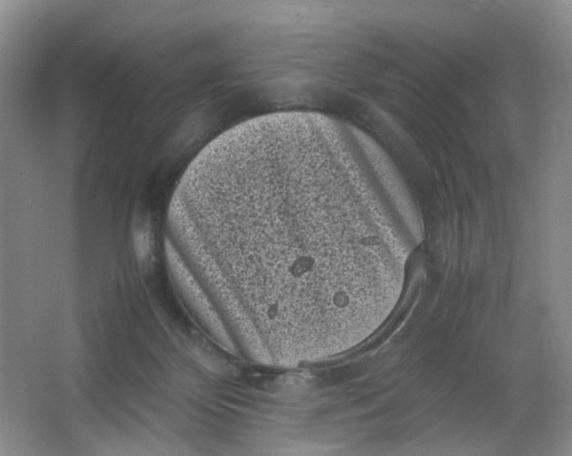 X0000066100124200603241528