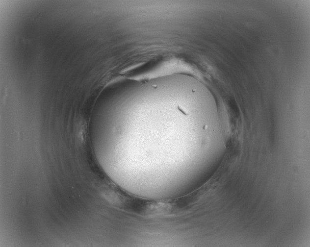 X0000066100125200603241528