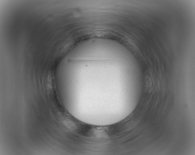 X0000066100126200603241528