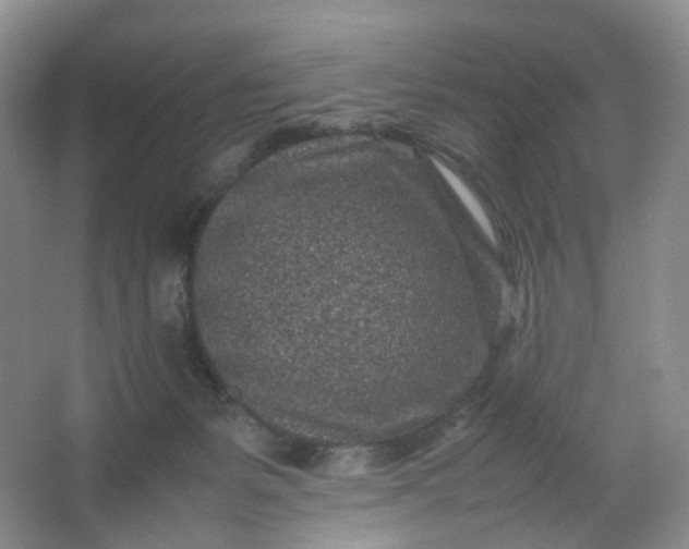 X0000066100127200603241528