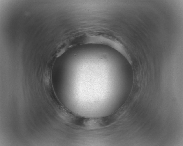 X0000066100129200603241528