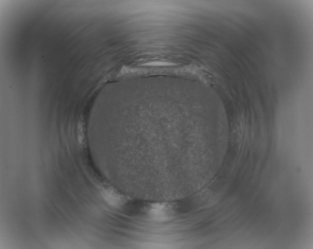 X0000066100130200603241528