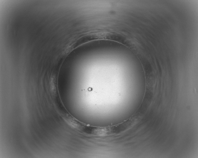 X0000066100131200603241528