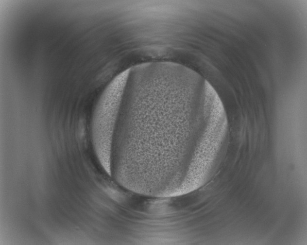 X0000066100132200603241528