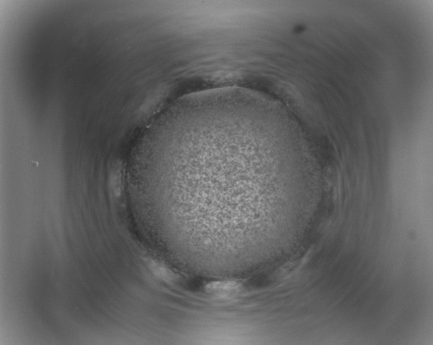 X0000066100133200603241528