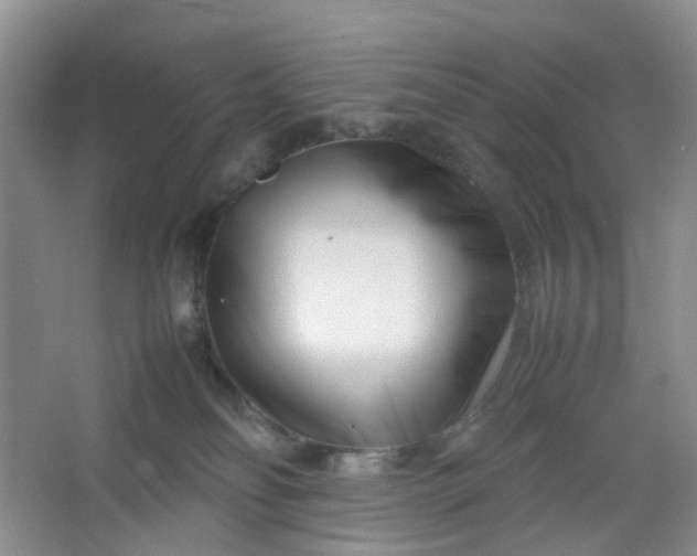 X0000066100134200603241528