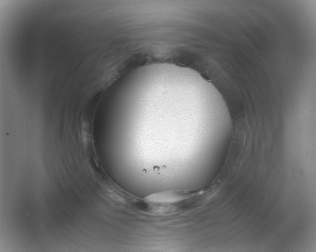 X0000066100135200603241528