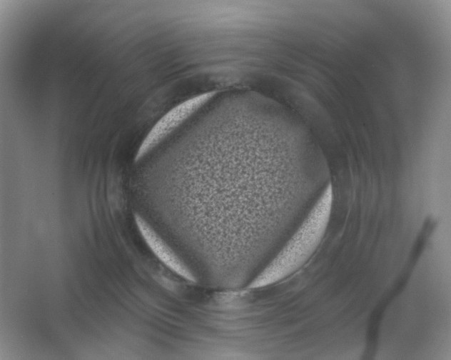 X0000066100136200603241528