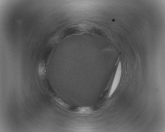 X0000066100137200603241528