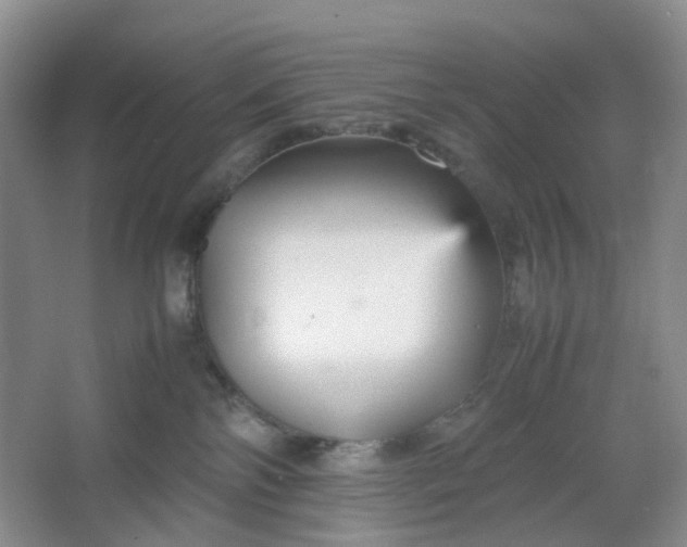 X0000066100138200603241528