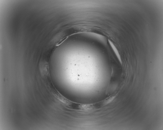 X0000066100141200603241528