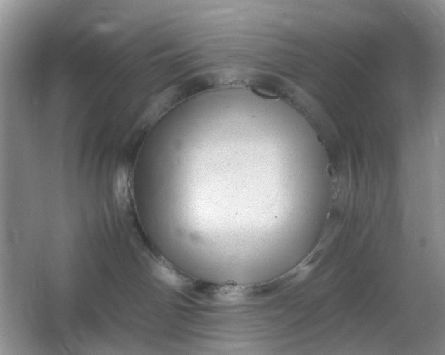 X0000066100142200603241528