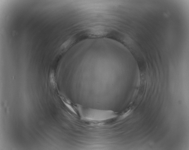 X0000066100143200603241528