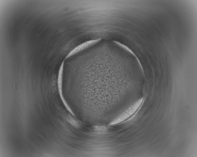 X0000066100144200603241528