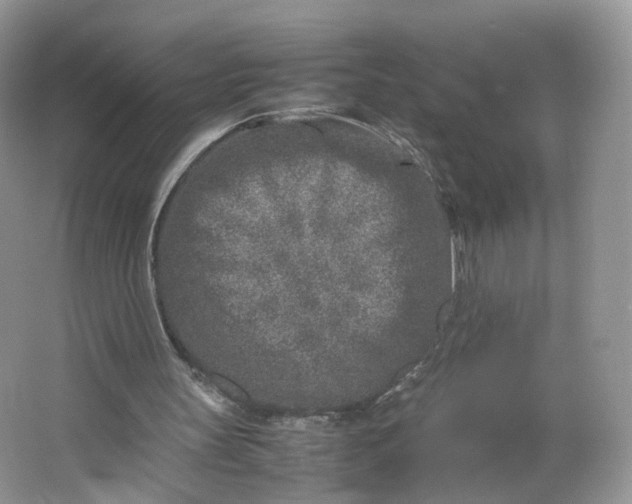 X0000066100147200603241527