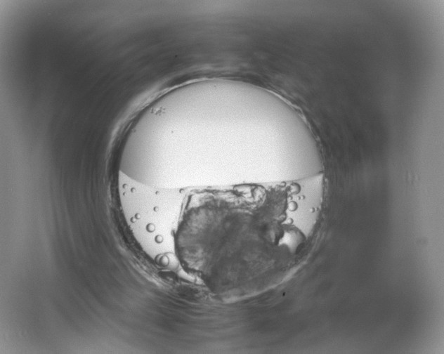 X0000066100149200603241527