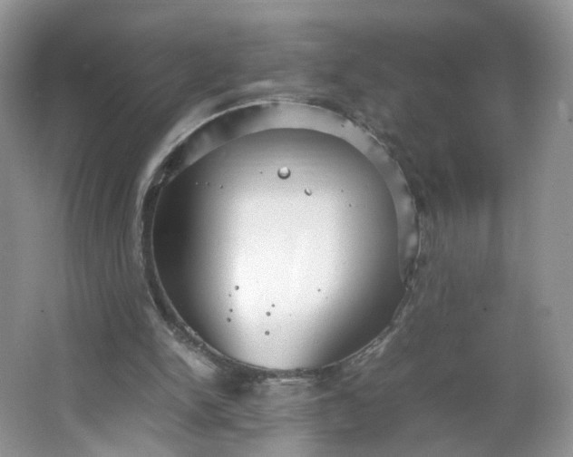 X0000066100150200603241527