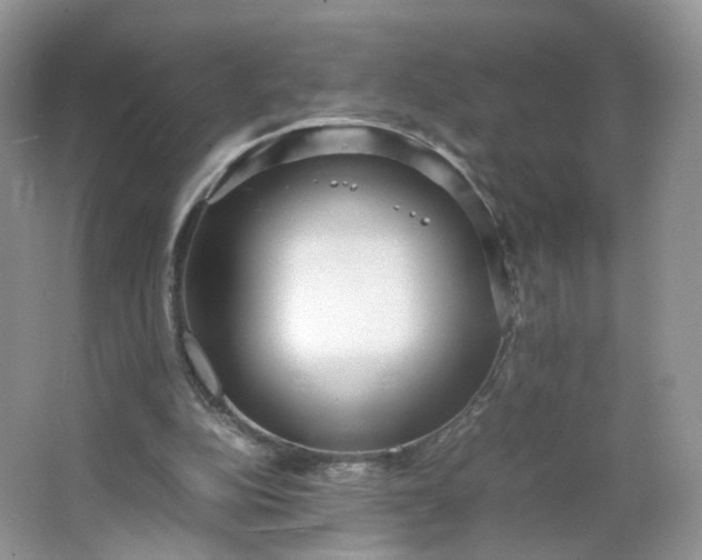 X0000066100152200603241527