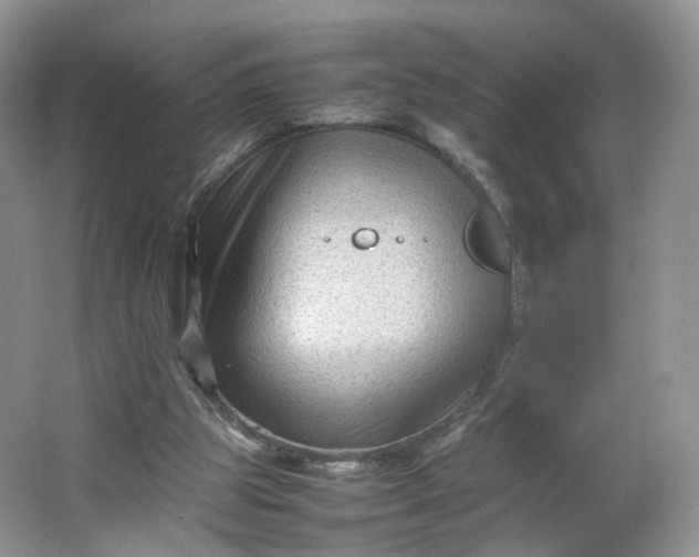 X0000066100153200603241527