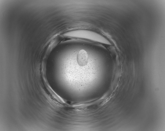 X0000066100154200603241527