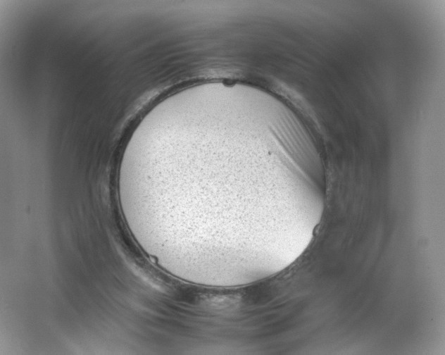 X0000066100155200603241527