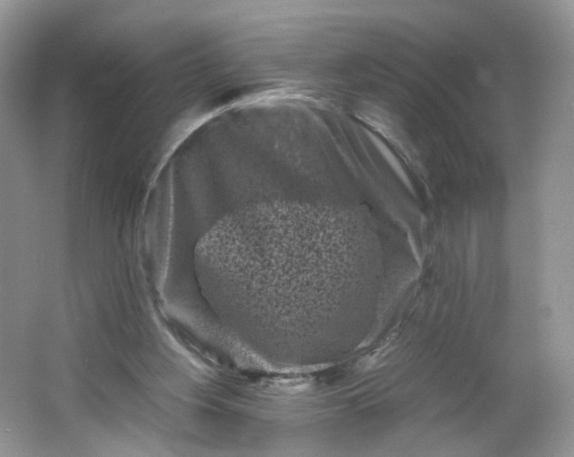 X0000066100156200603241527