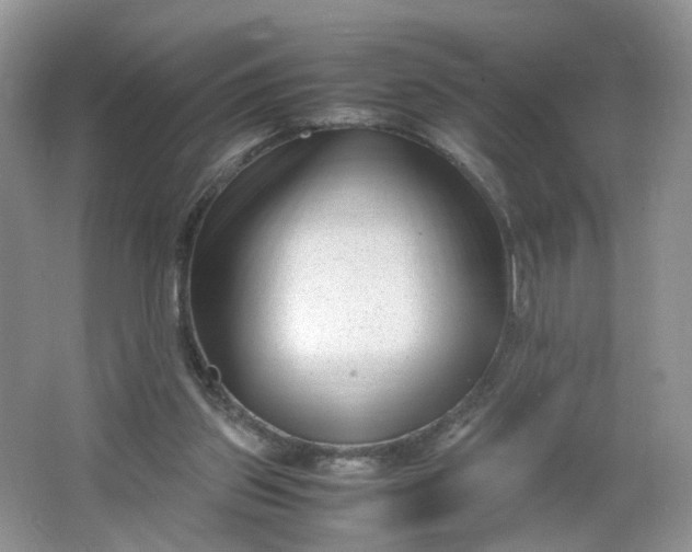 X0000066100157200603241527