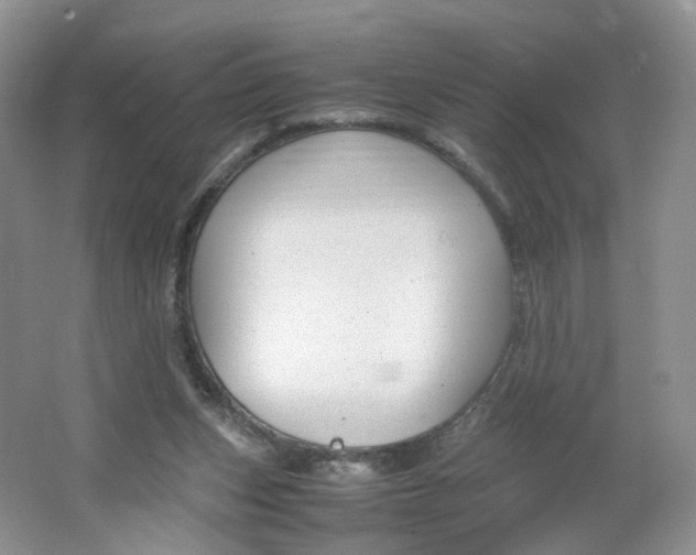 X0000066100159200603241527