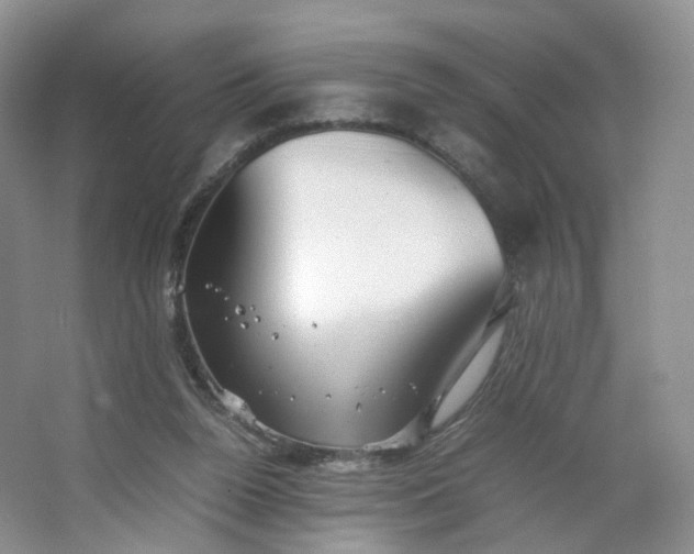 X0000066100160200603241527