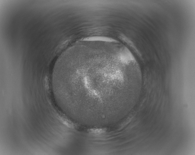 X0000066100161200603241527