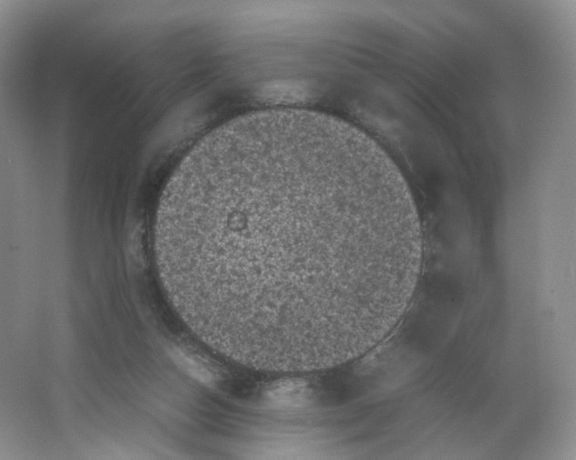 X0000066100162200603241527