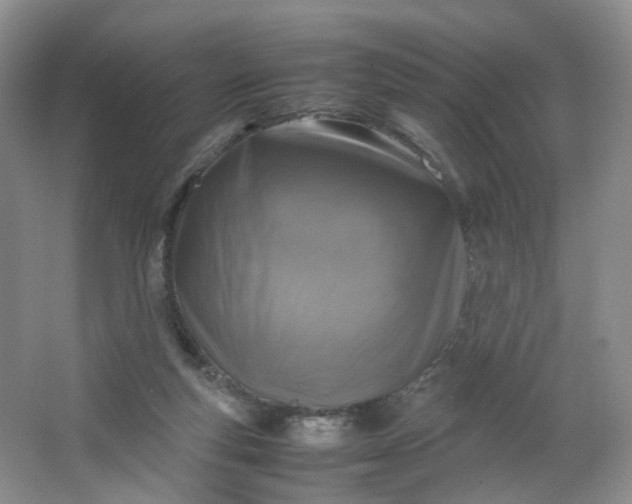 X0000066100163200603241527