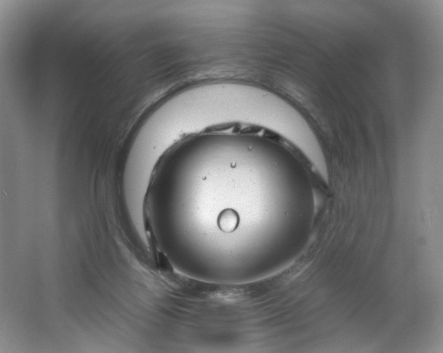 X0000066100164200603241527