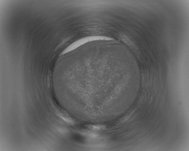 X0000066100165200603241527