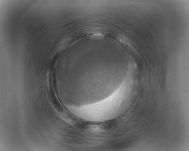 X0000066100167200603241527