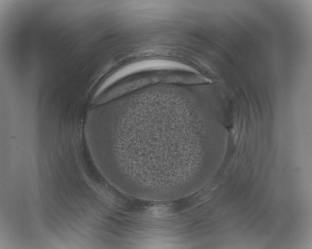 X0000066100168200603241527