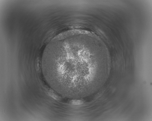 X0000066100169200603241527