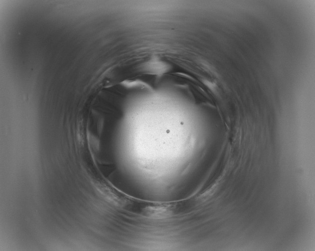 X0000066100170200603241527