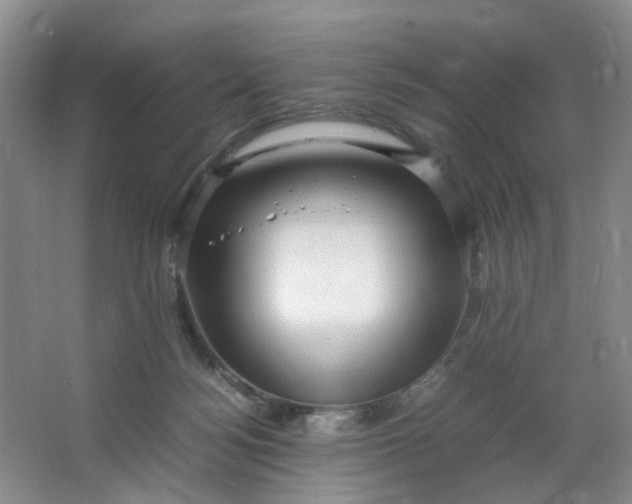 X0000066100172200603241527