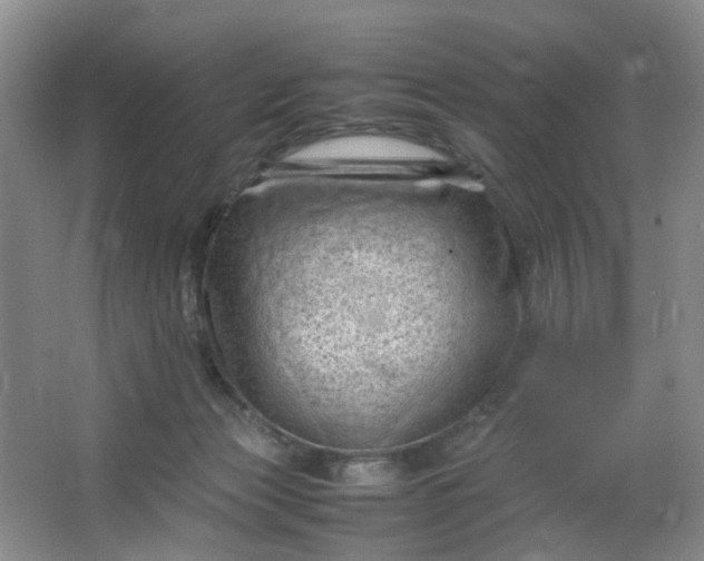 X0000066100173200603241527