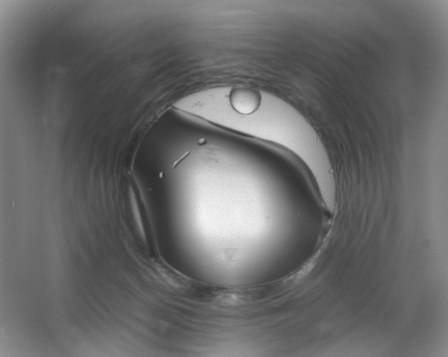 X0000066100174200603241527