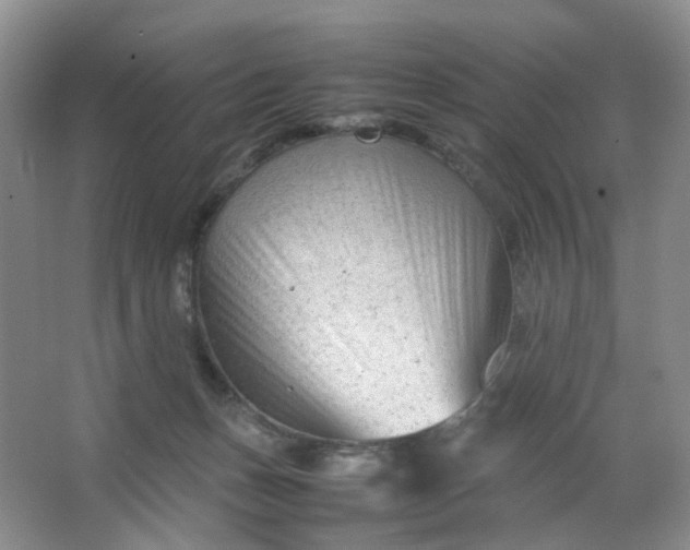 X0000066100175200603241527